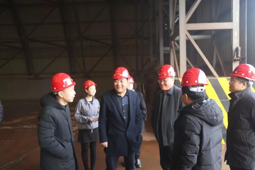 邯郸市人大副主任李书生一行莅临我集团就“企业精准服务重点工作”进行座谈